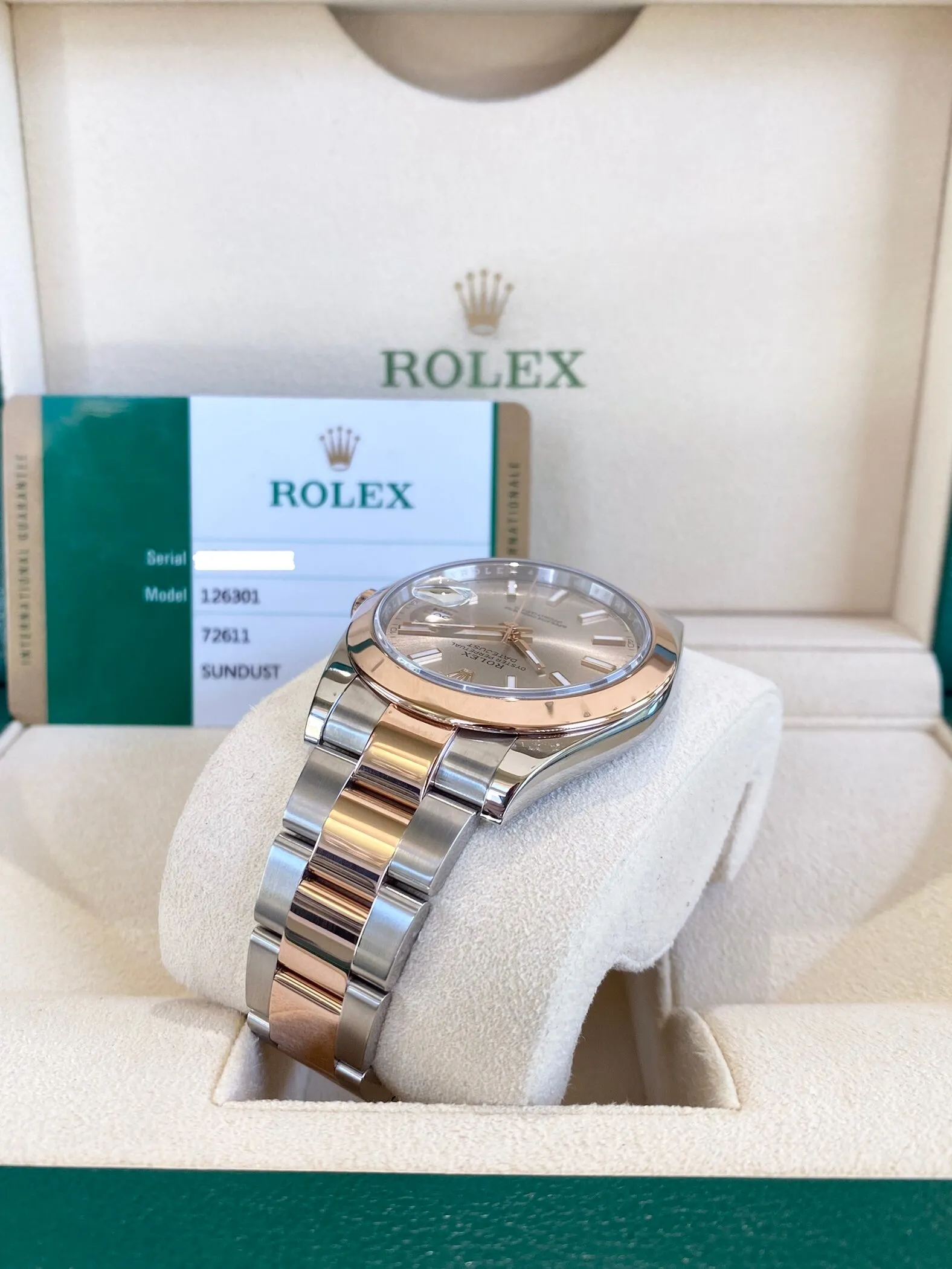 2019 Rolex Datejust 41 126301