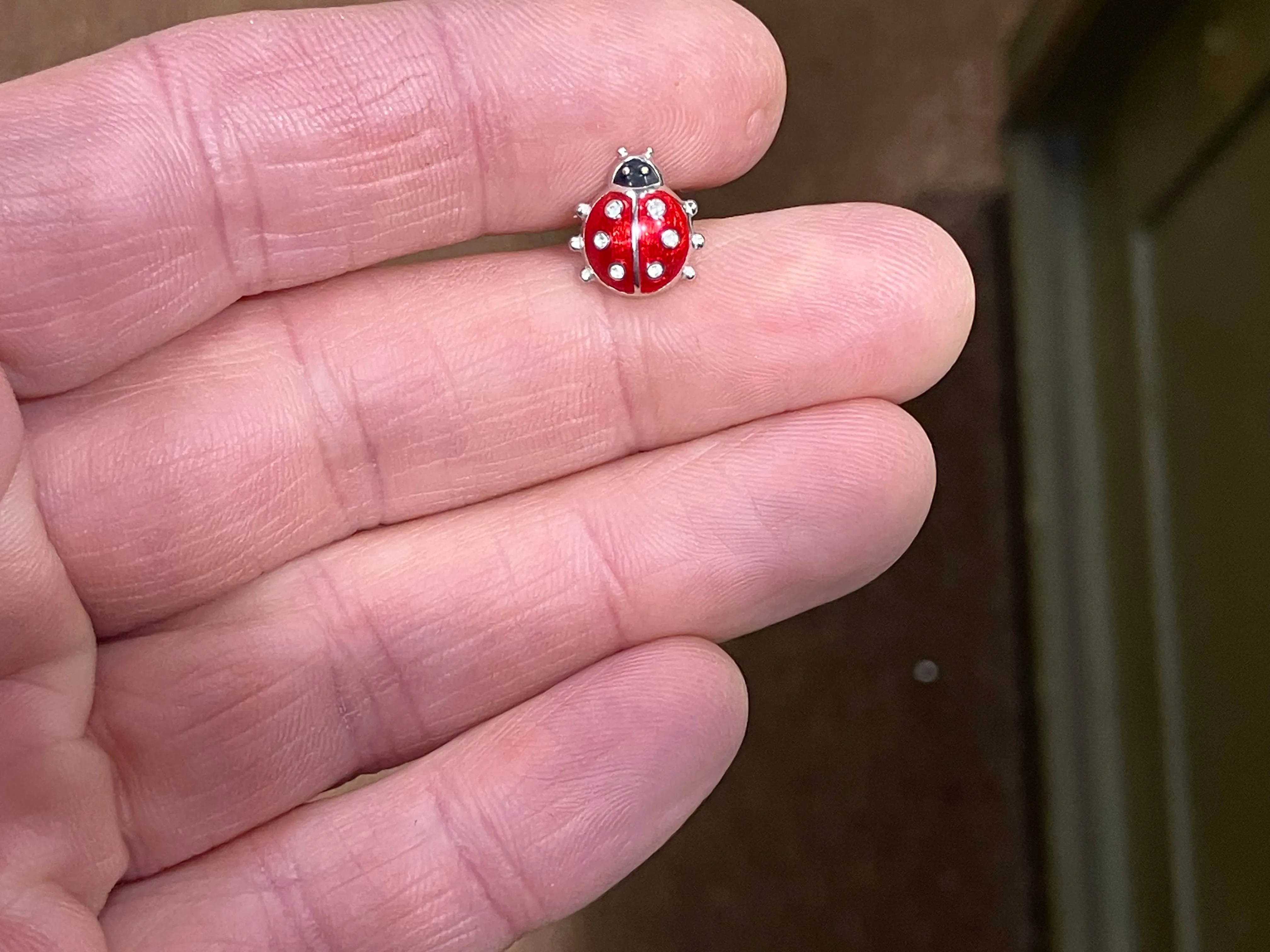 Lady Bug Silver White Sapphire Earrings